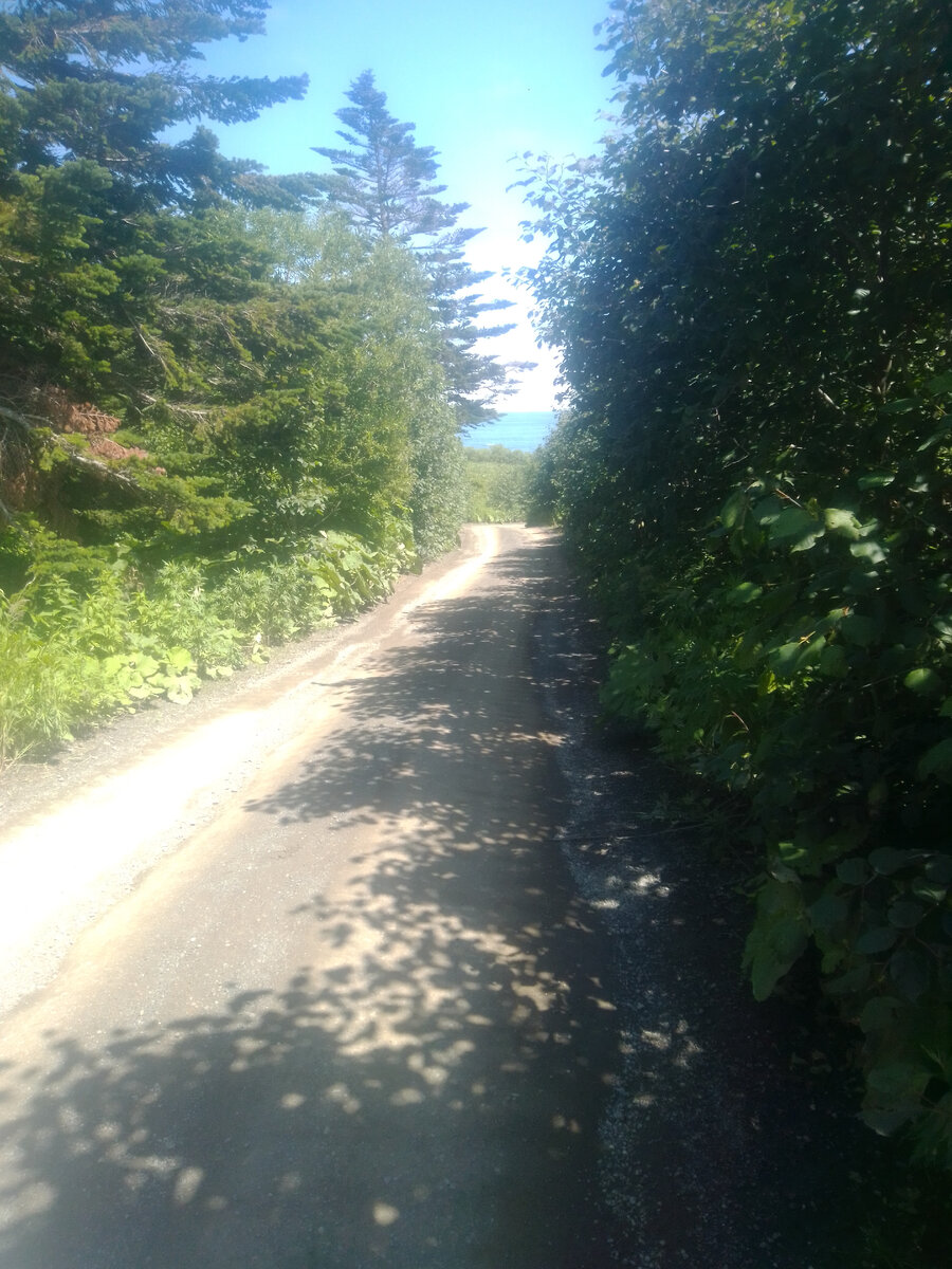 дорога на мыс Великан)