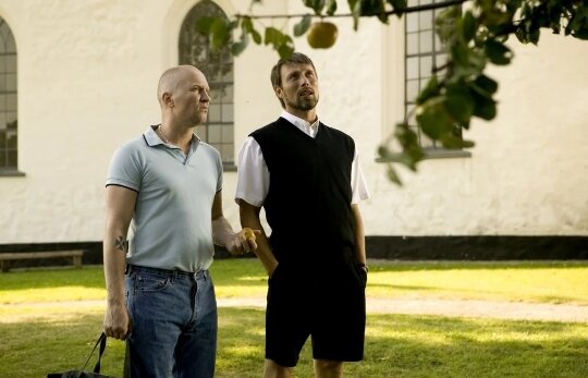 Все изображения в статье - интернет.