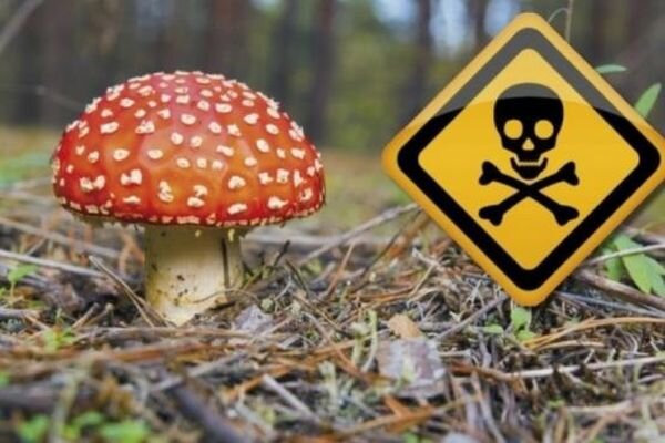 Источник фото: pol4.ru 