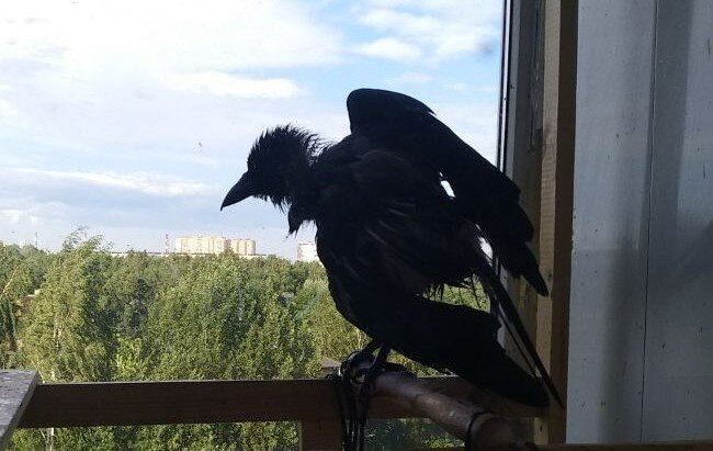 Пока фото только такие, но я верю, что Тётя не безнадёжна... Наверно...