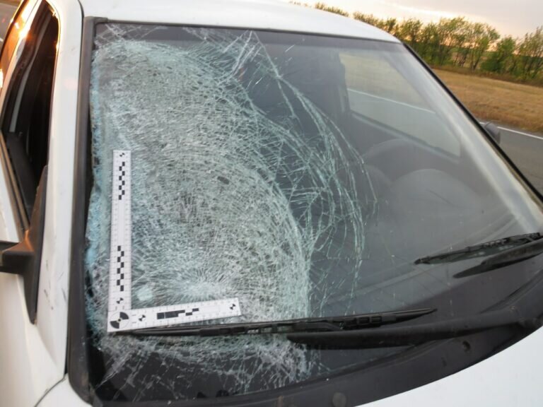    В Оренбуржье на трассе водитель Лады сбил пешехода. Мужчина скончался Марина Шарт