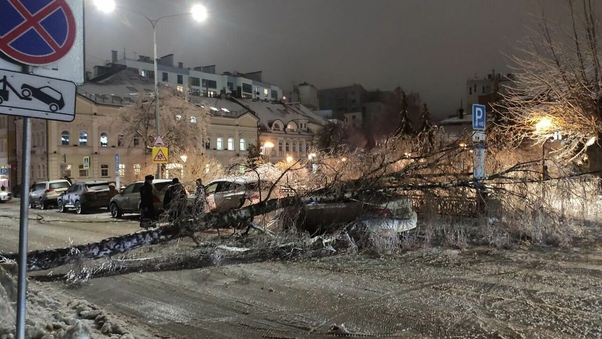     Жительница Нижнего Новгорода пострадала при падении на нее ветки дерева. После происшествия ее доставили в больницу. Об этом NewsNN сообщили в областном минздраве.