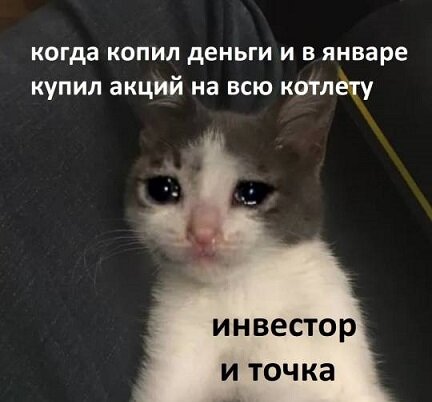 картинка из интернета