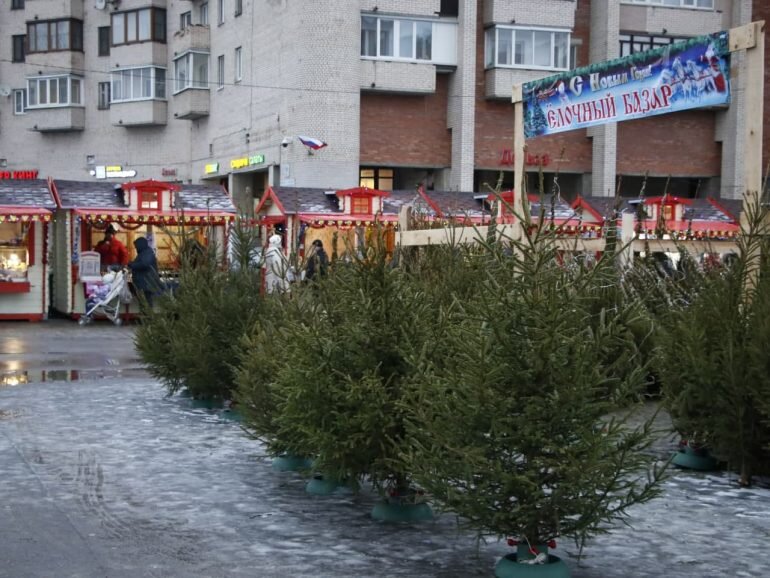 Елочный базар на Гражданском проспекте в 2021 году. Фото:Мойка78/Николай Овсянников