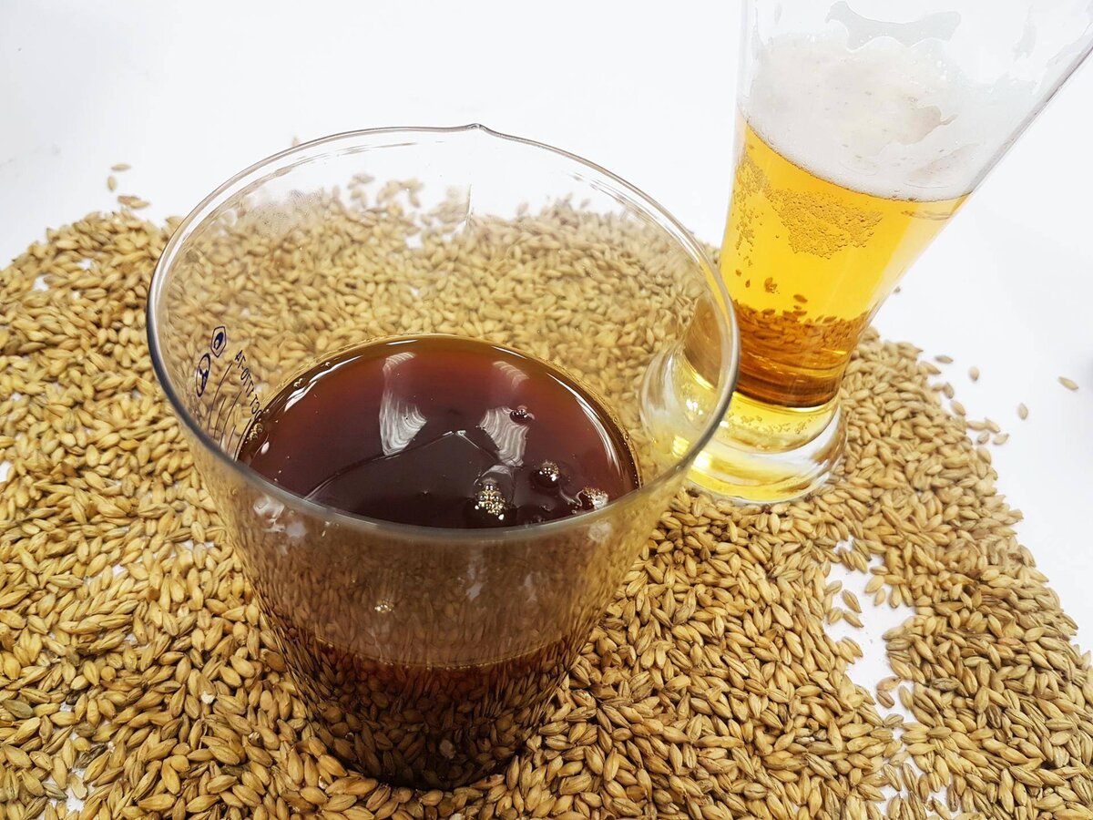 Пиво из солодового экстракта