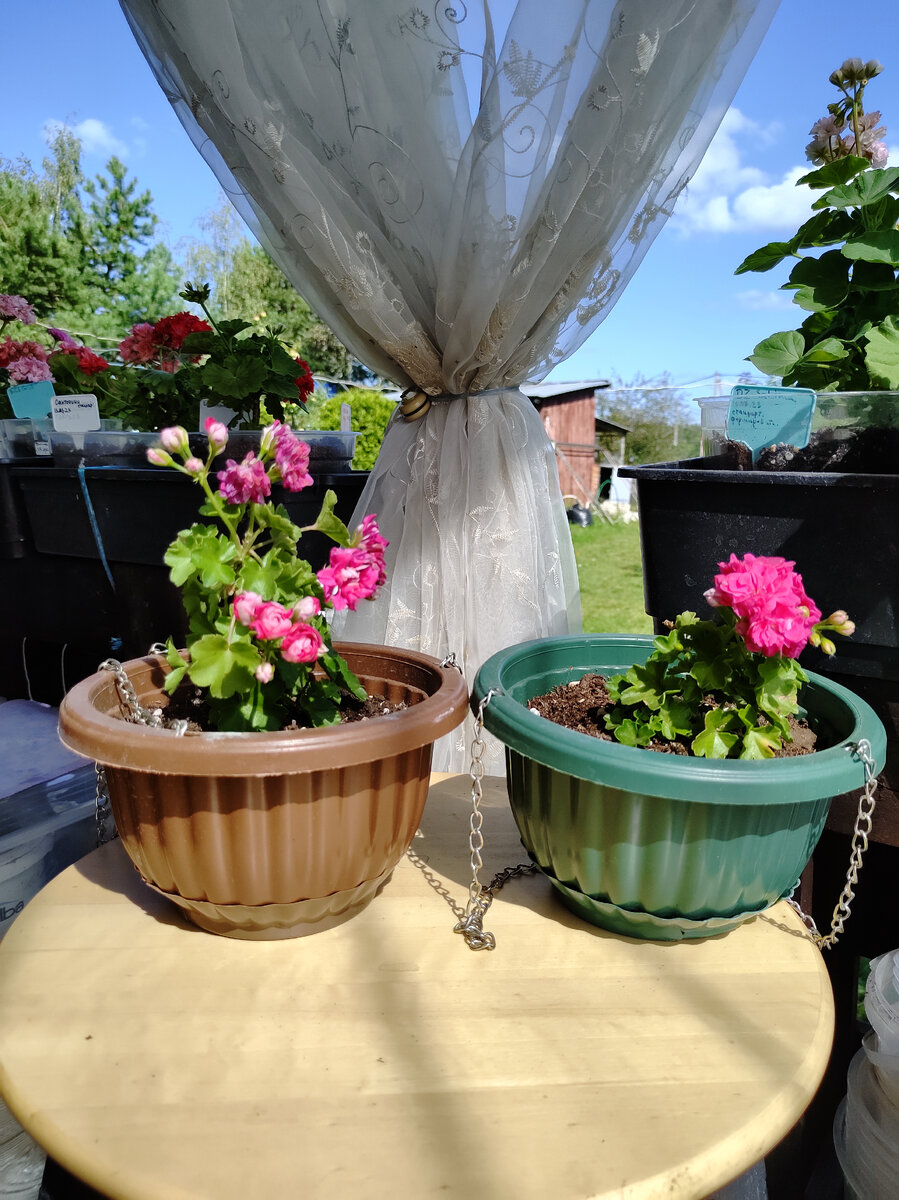 Тэсс Влада - мама и дочка (справа) 17.08.2023