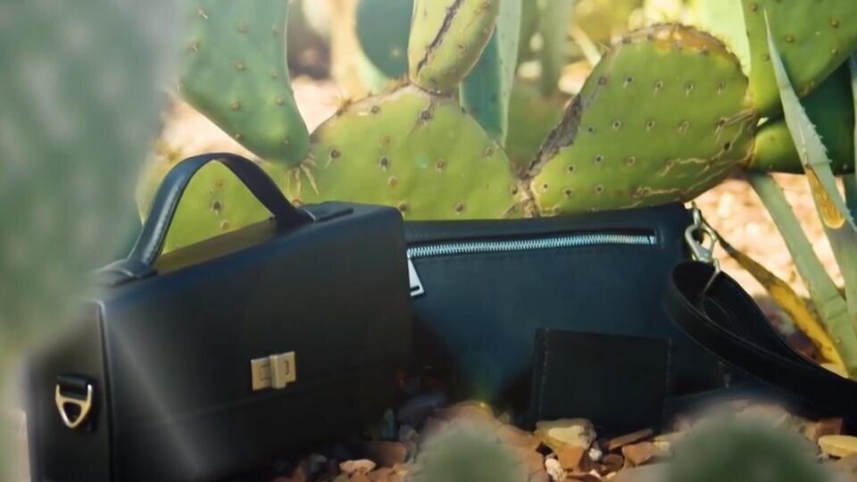 Фото: © скриншот видео