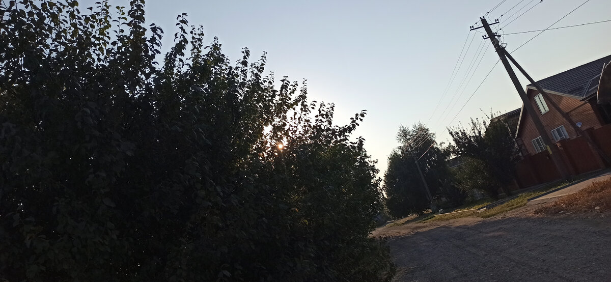 Как красиво солнышко сквозь ветки пробивается.... 