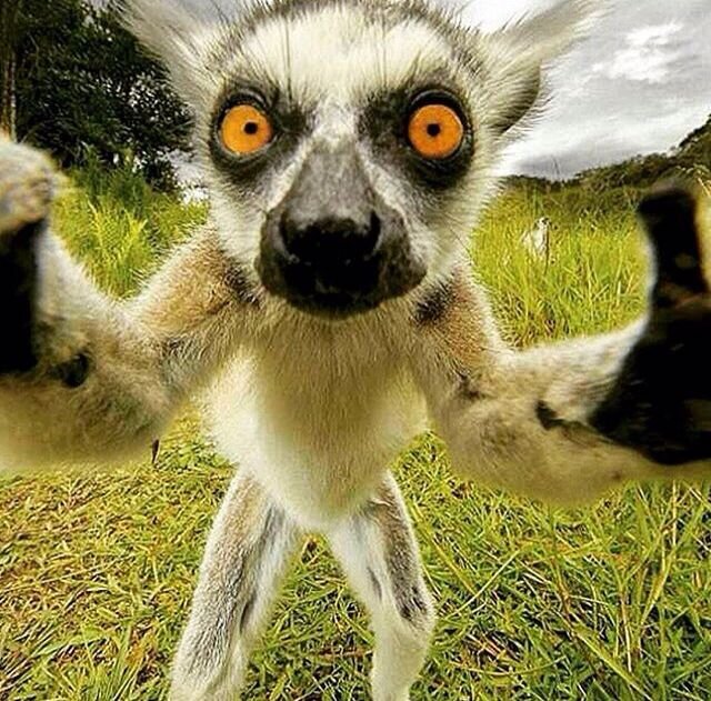 да узбагойтесь вы уже