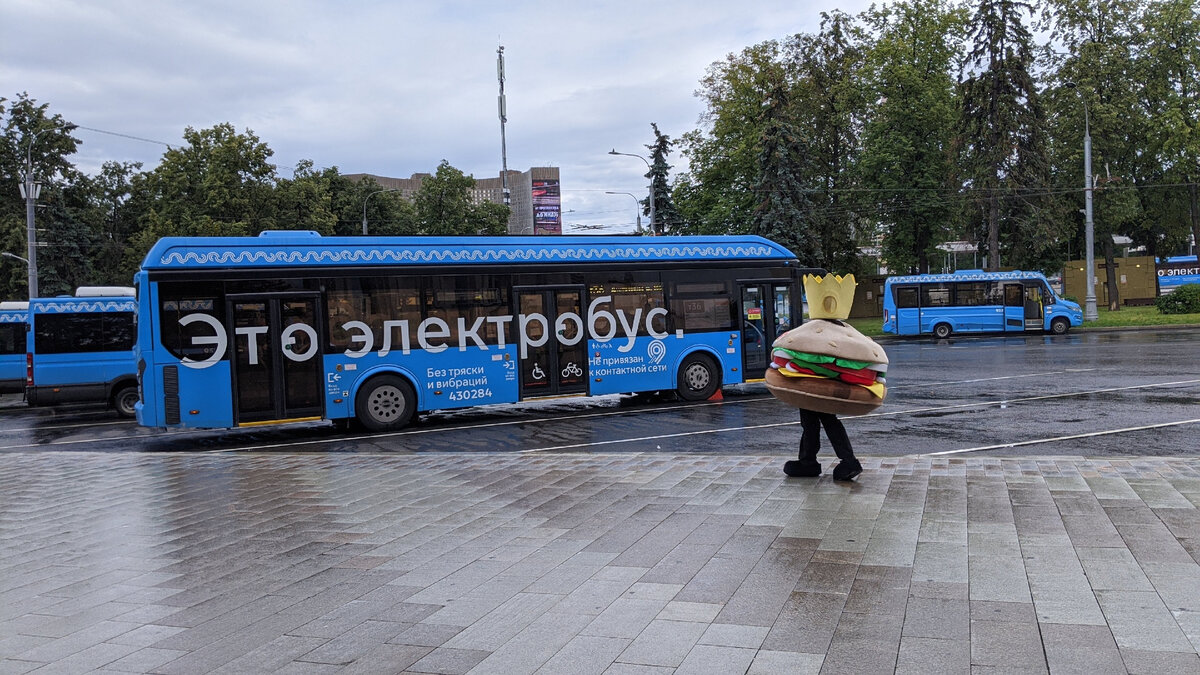 Электробусы - моя особая любовь 