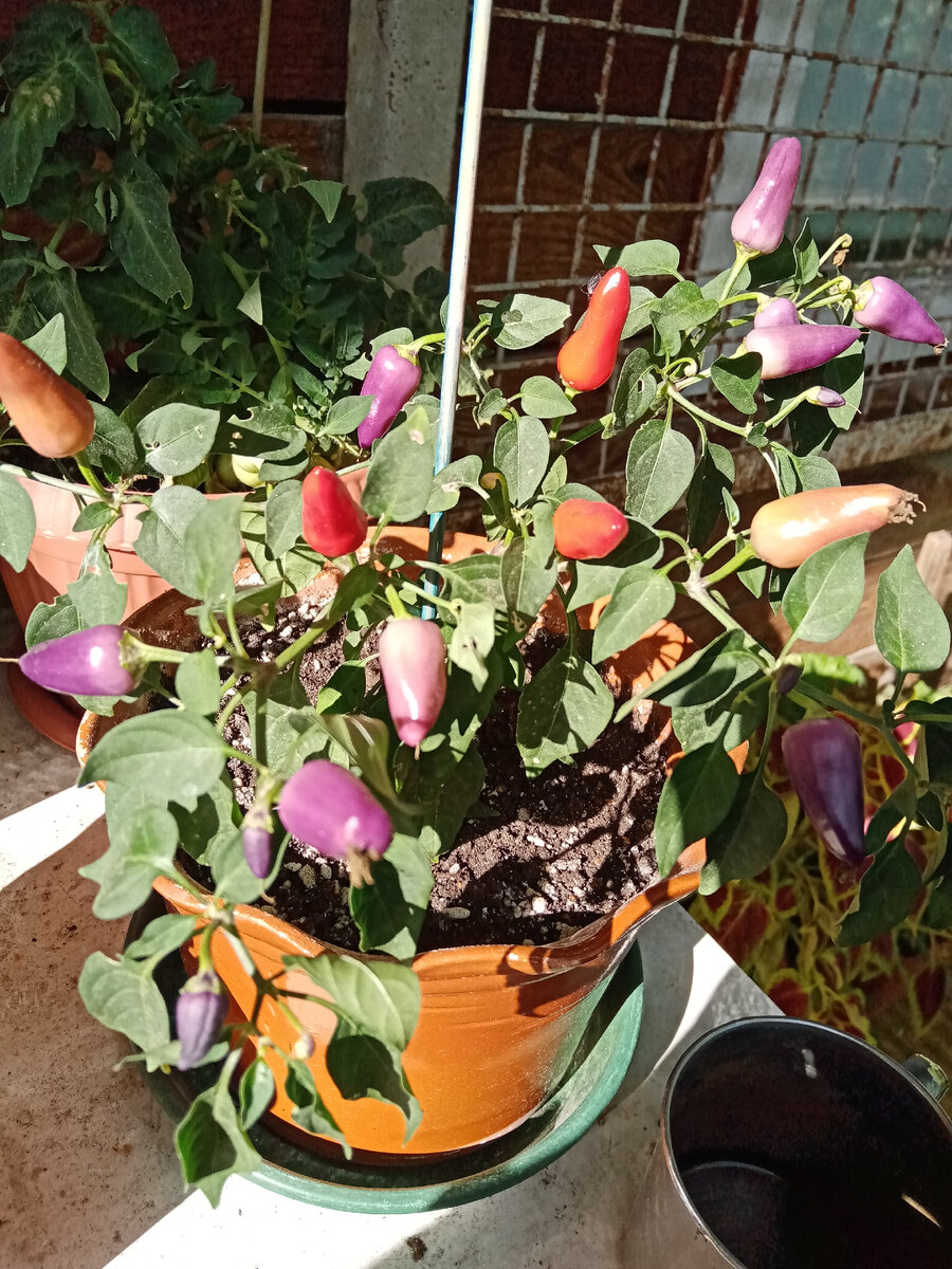 фото из личного архива автора