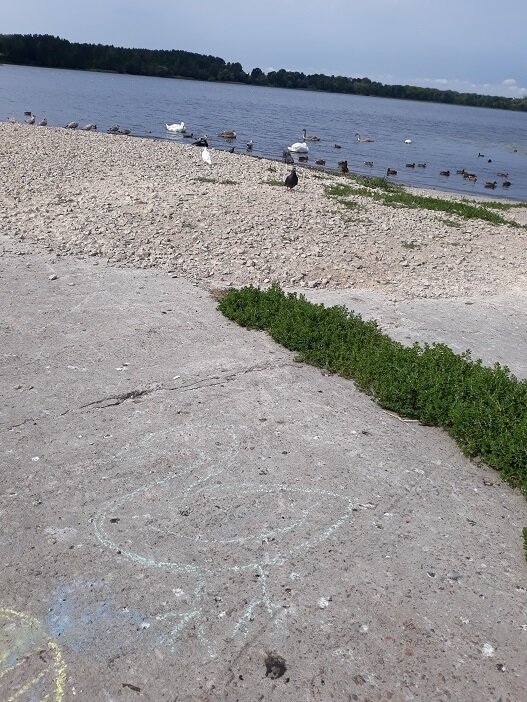 Рига, 17 августа 2023