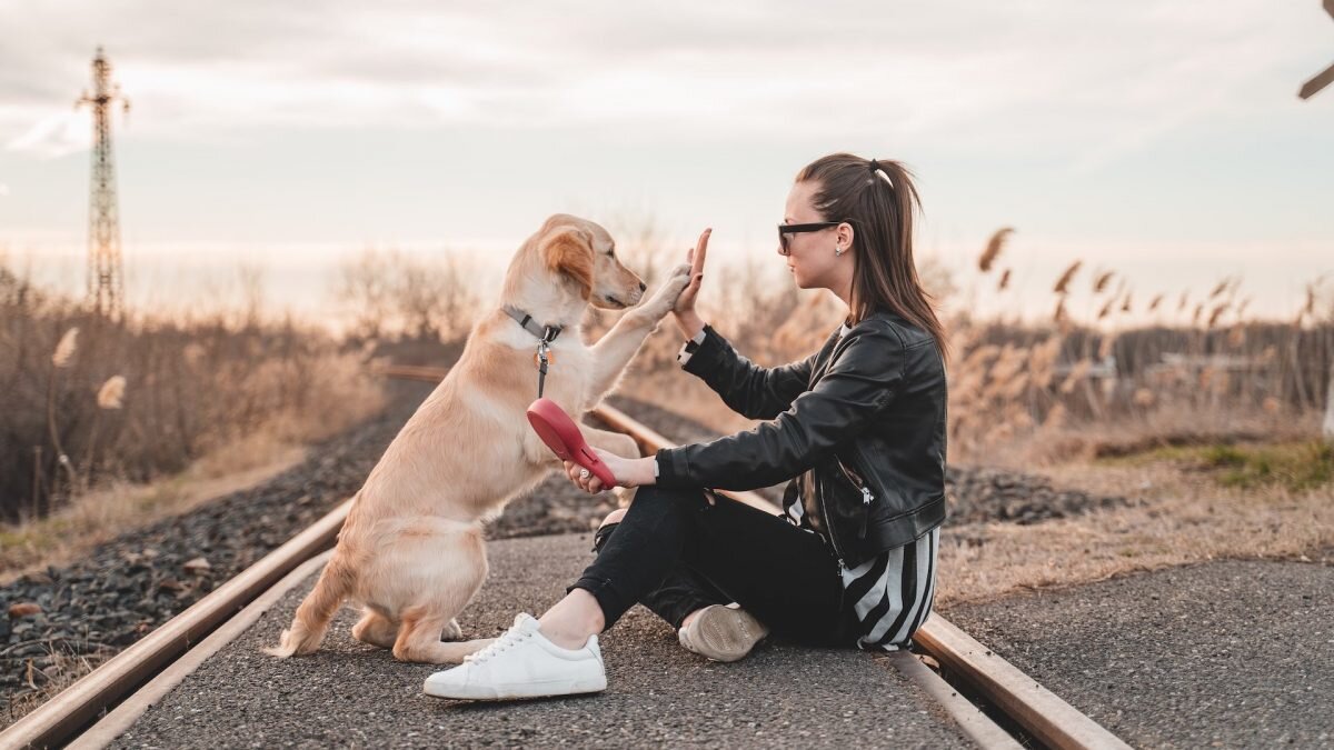    Фото: Unsplash Август Макаров