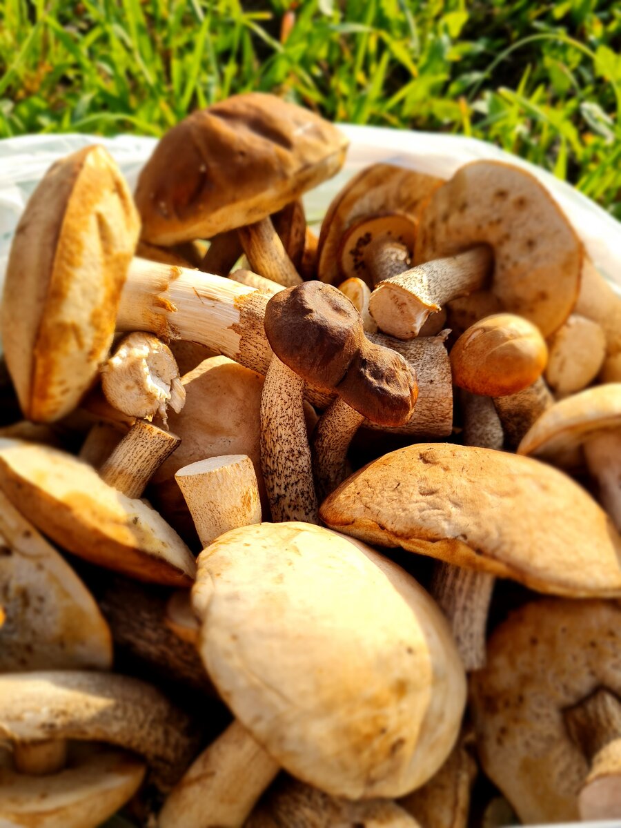 Вот такой улов❤️