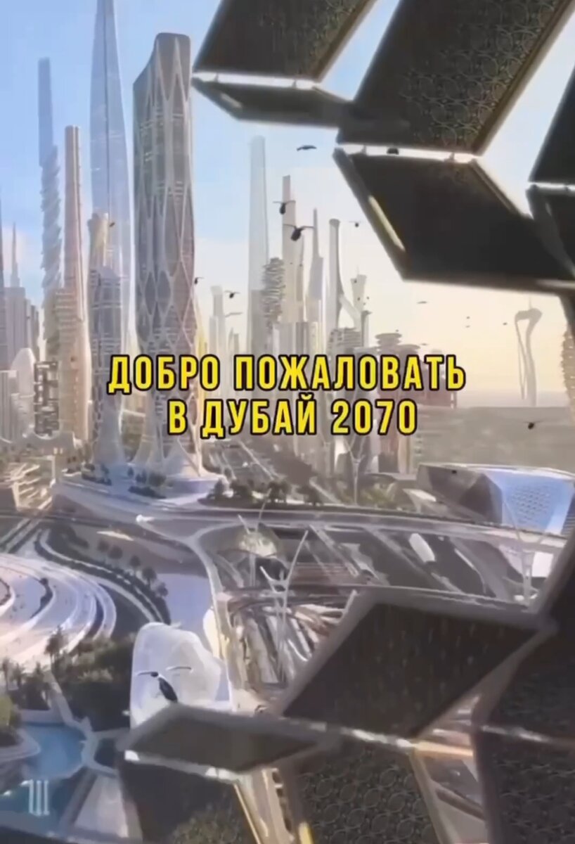 Дуба 2070 год