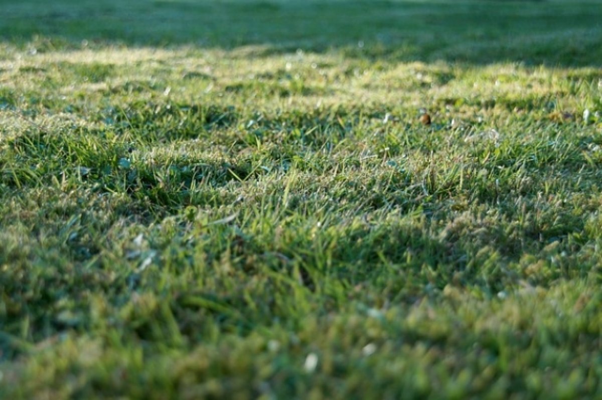    Радий Хабиров выделил под высотную застройку в центре Уфы землю без торгов