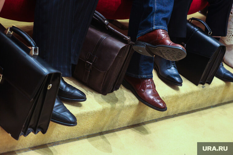    Советники будут изучать опыт других стран и готовить аналитику