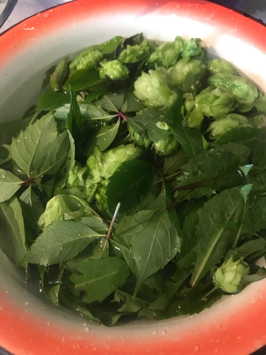 Перед применением зелени хорошо ее промойте и переберите