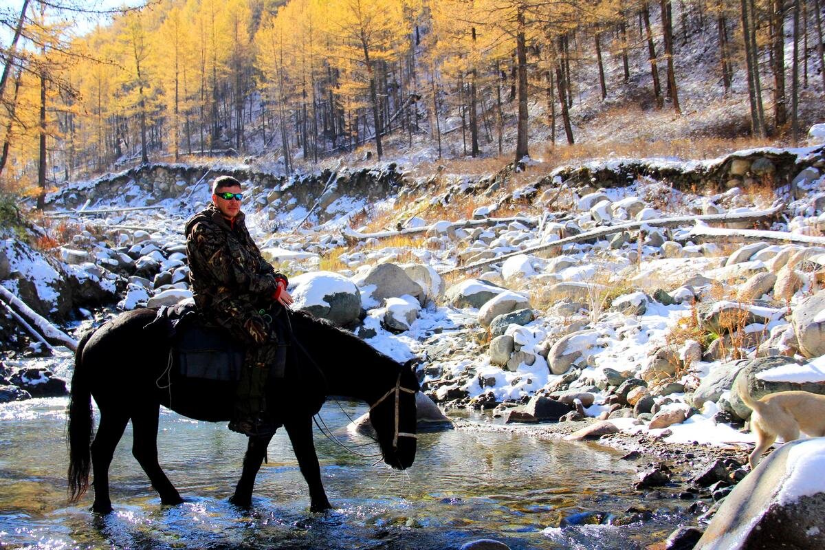 АВТОР СТАТЬИ: ВЛАДИМИР ЛЬВОВСКИЙ