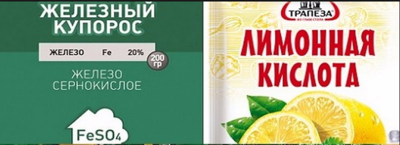 ДЕФИЦИТ ЖЕЛЕЗА У ТОМАТОВ - как исправить | 1000 томатов | Дзен