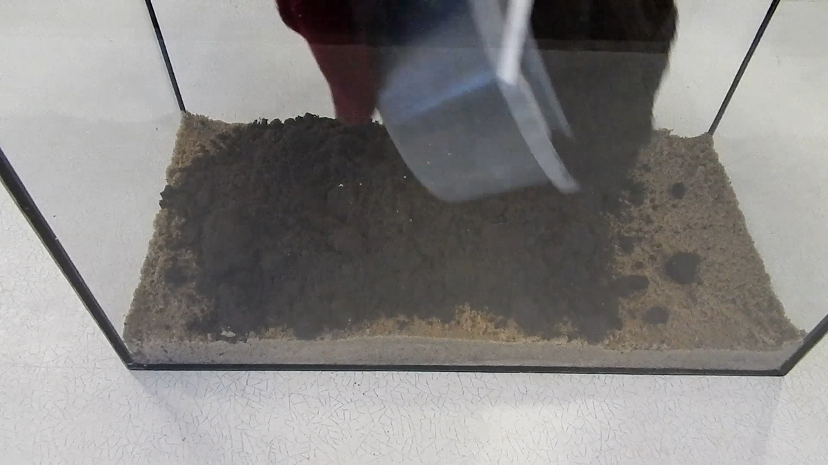 Создание вечного террариума