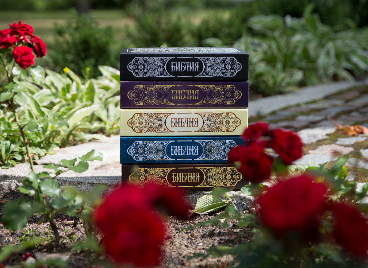 Библию в каждый дом от издательства "НОВОЕ НЕБО"! Мы @nebobooks очень хотим, чтобы у вас дома была не просто Библия, а БИБЛИЯ от издательства "Новое небо"! Поэтому мы дарим вам скидку 49% на все наши Библии. ⠀
⠀
👉100 Библий в ассортименте!!!
⠀
Библия была, есть и остается самой востребованной книгой в мире! Поэтому даже если у вас на полке уже лежит это издание, нашу красиво оформленную Библию всегда можно подарить, а уж поводов для подарков всегда более чем достаточно.

Вы только посмотрите, какое количество различных оформлений мы предлагаем:
⠀ 📎Разные форматы, от дорожного до аналойного (для домашнего использования)
⠀ 📎Разные цветовые решения обложки
⠀ 📎Разные варианты дизайна: от классики до современности
⠀
📍Все издания содержат книги Священного Писания Ветхого и Нового Заветов в синодальном переводе, принятом в качестве канонического в русской православной традиции.
⠀
📍В состав Ветхого Завета в настоящих изданиях включены так называемые «назидательные» (или «неканонические») книги, которые также входят в православный канон Священного Писания.
⠀
📍Библия печатаются по благословению Святейшего Патриарха Московского и всея Руси Кирилла.

Голова идет кругом, как выбрать среди этого многообразия! Но мы @nebobooks уверены, что как раз при таком широком ассортименте вы найдете то, что нужно и нравится именно вам!

СКИДКА 49% на все БИБЛИИ издательства «Новое Небо» @nebobooks по промокоду «Библия»!
