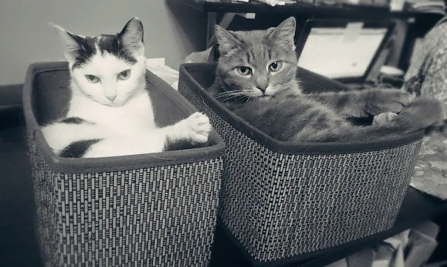 Это ОН и ОНА...