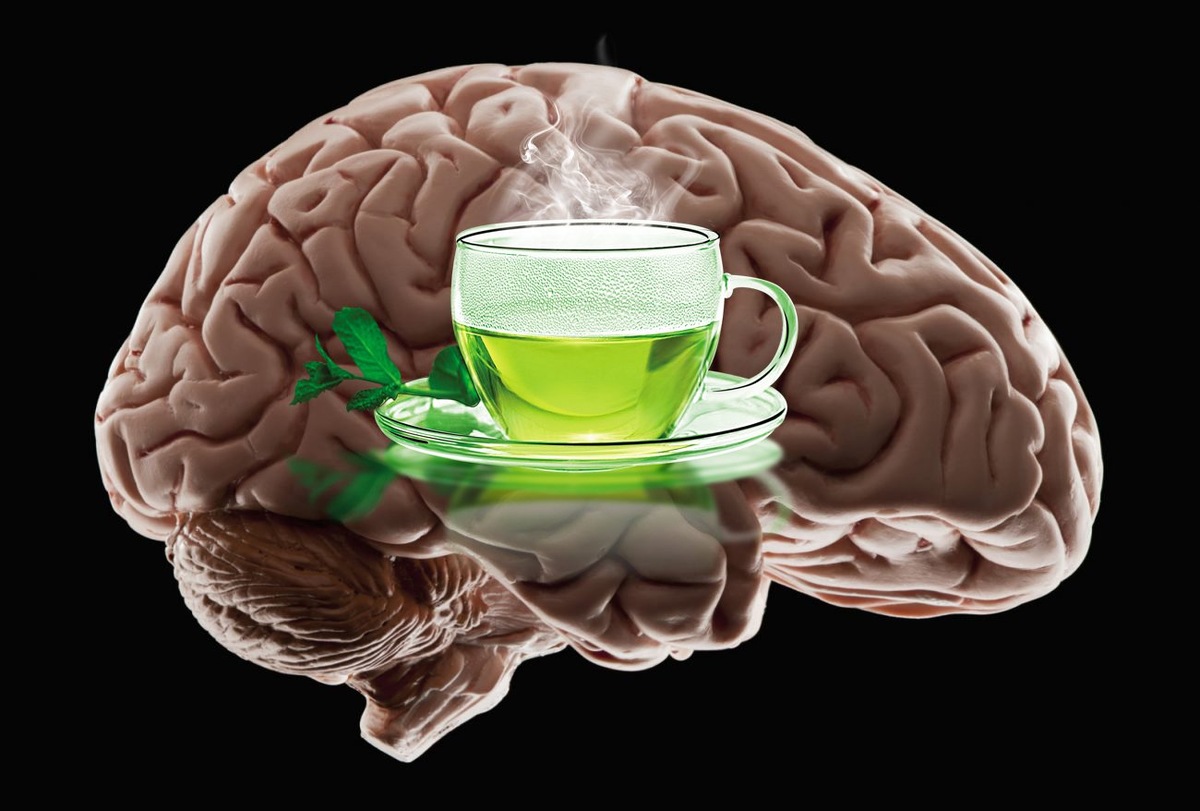 Зеленый чай и его польза