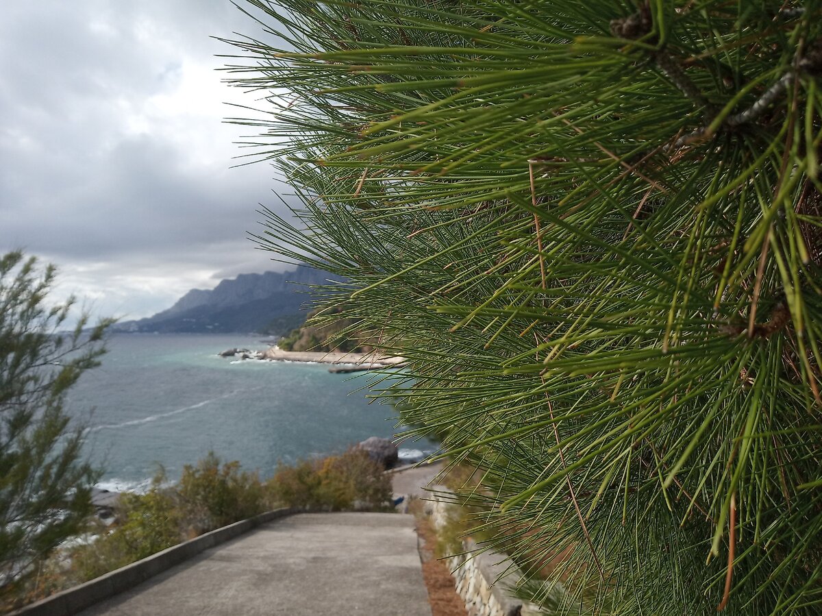 В Кастрополе