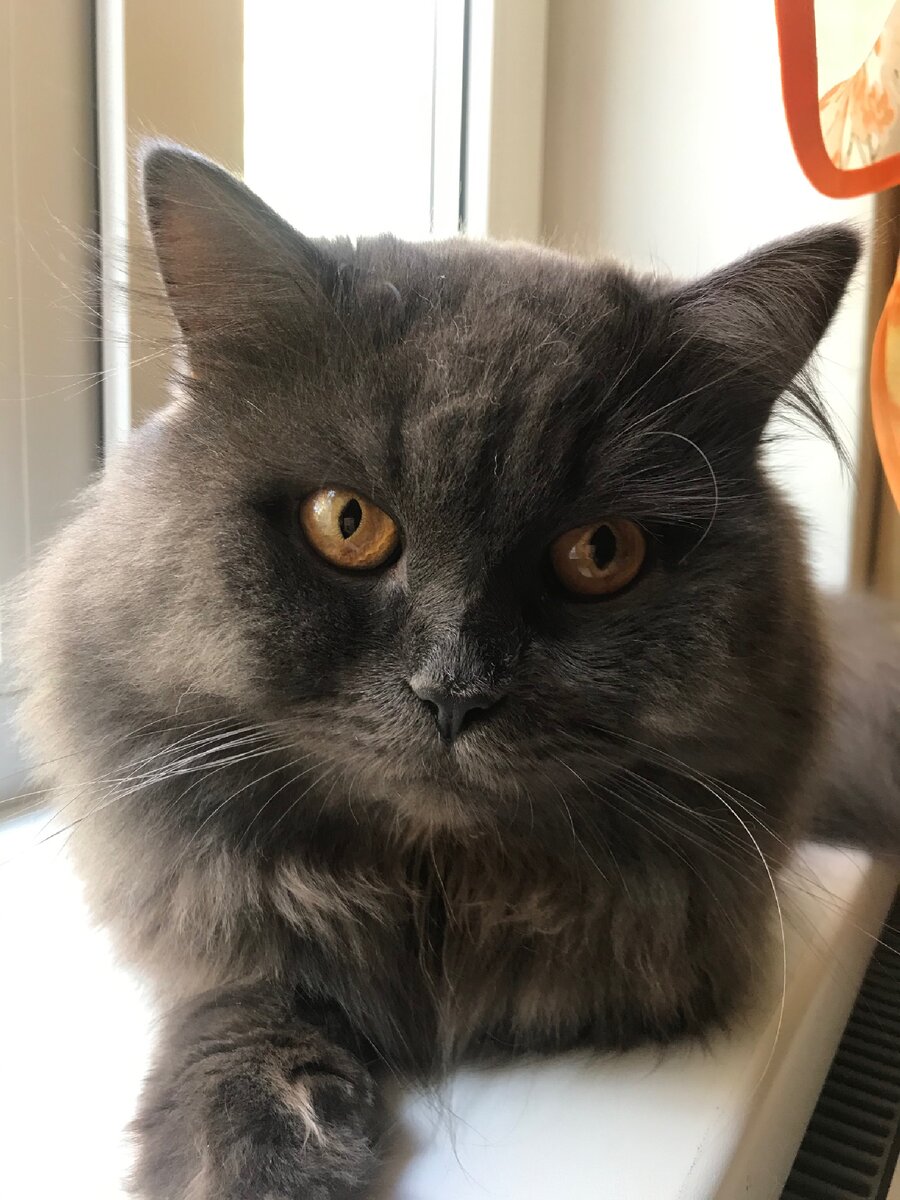 Фото автора, Калининград, осень, 2019