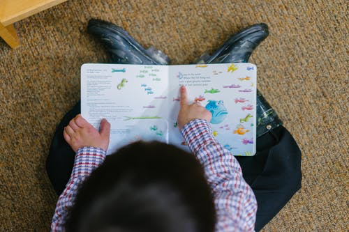 https://images.pexels.com/photos/1250722/pexels-photo-1250722.jpeg?cs=srgb&dl=adorable-book-boy-1250722.jpg&fm=jpg