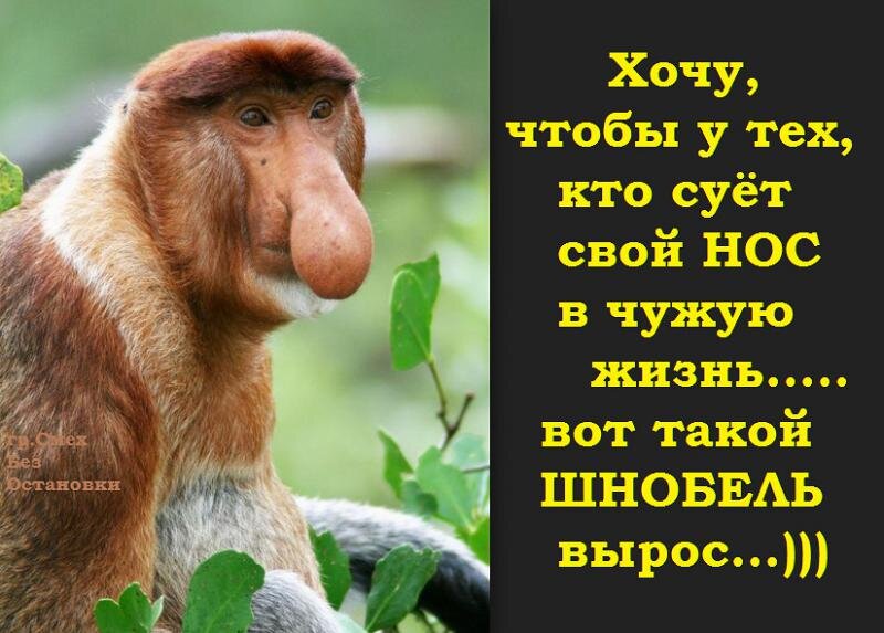 Картинка взята из открытых источников