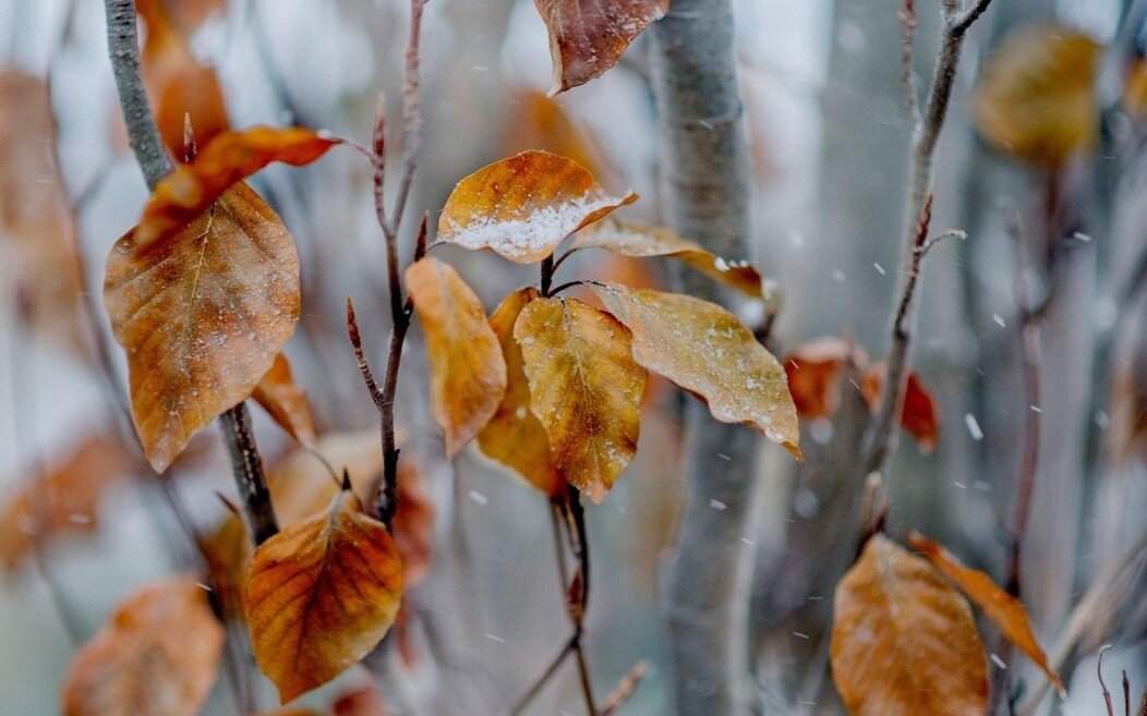 фото яндекс картинки 