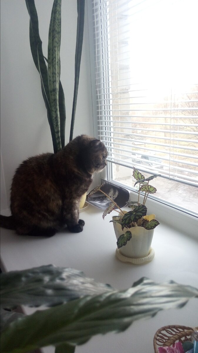 На улице ничего интересного нет