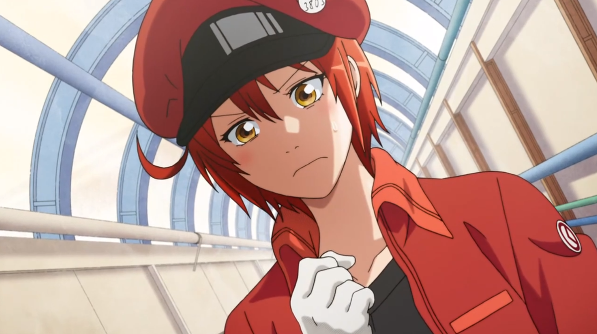 Эритроцит AE-3803.