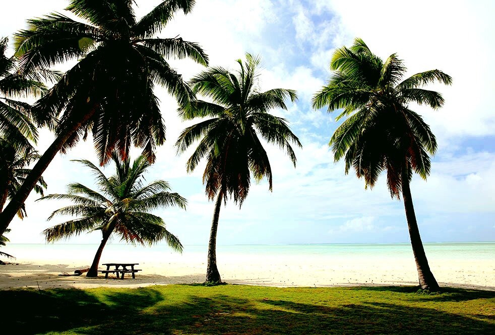 Остров с кокосами