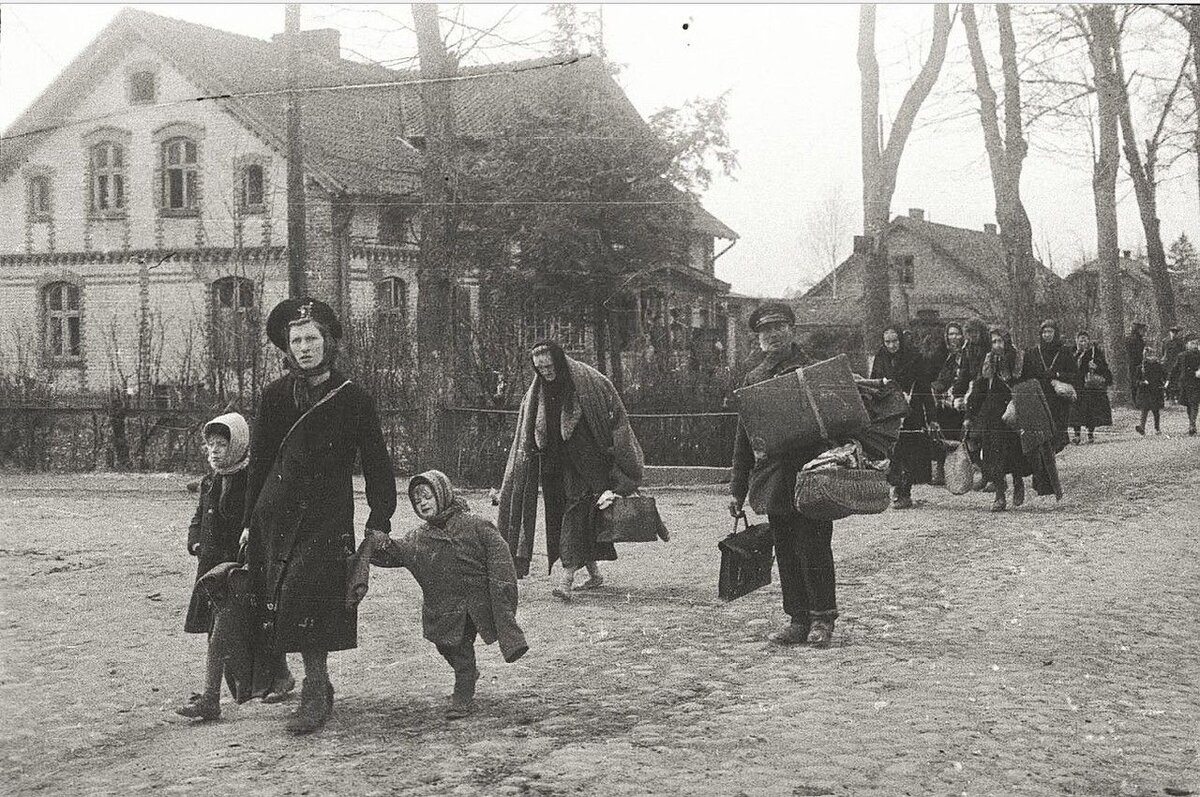 Яндекс.картинки 