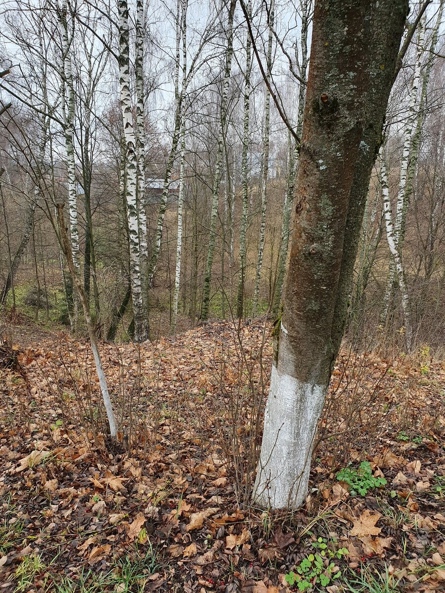 ©Пряничный домик