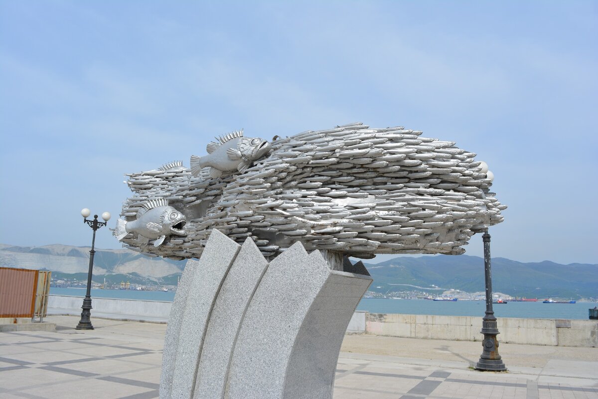 памятник хамсе в новороссийске. памятник хамсе в новорос. памятник рыбке хамсе в новороссийске. набережная новороссийска памятник хамсе. набережная новороссийска памятник хамсе.