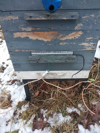 Черный провод это датчик температуры. 