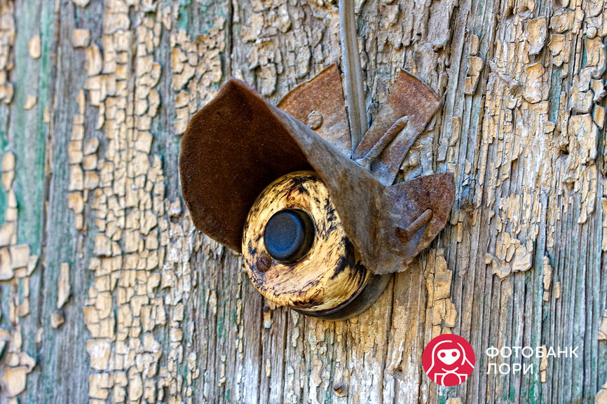 📷 FotograFF / Фотобанк Лори