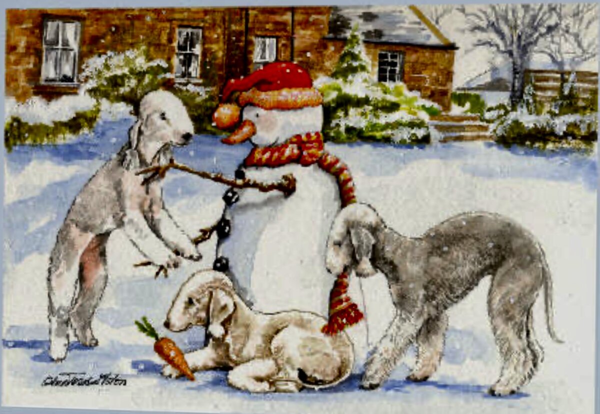 Рождественская открытка, где у бедлингтона роль овечки.