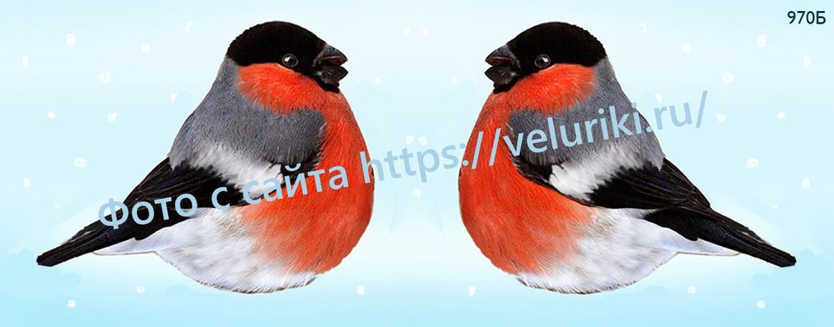 Фото с сайта https://veluriki.ru/