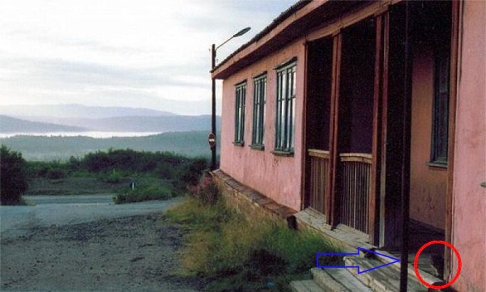 Фото взято из открытого источника...