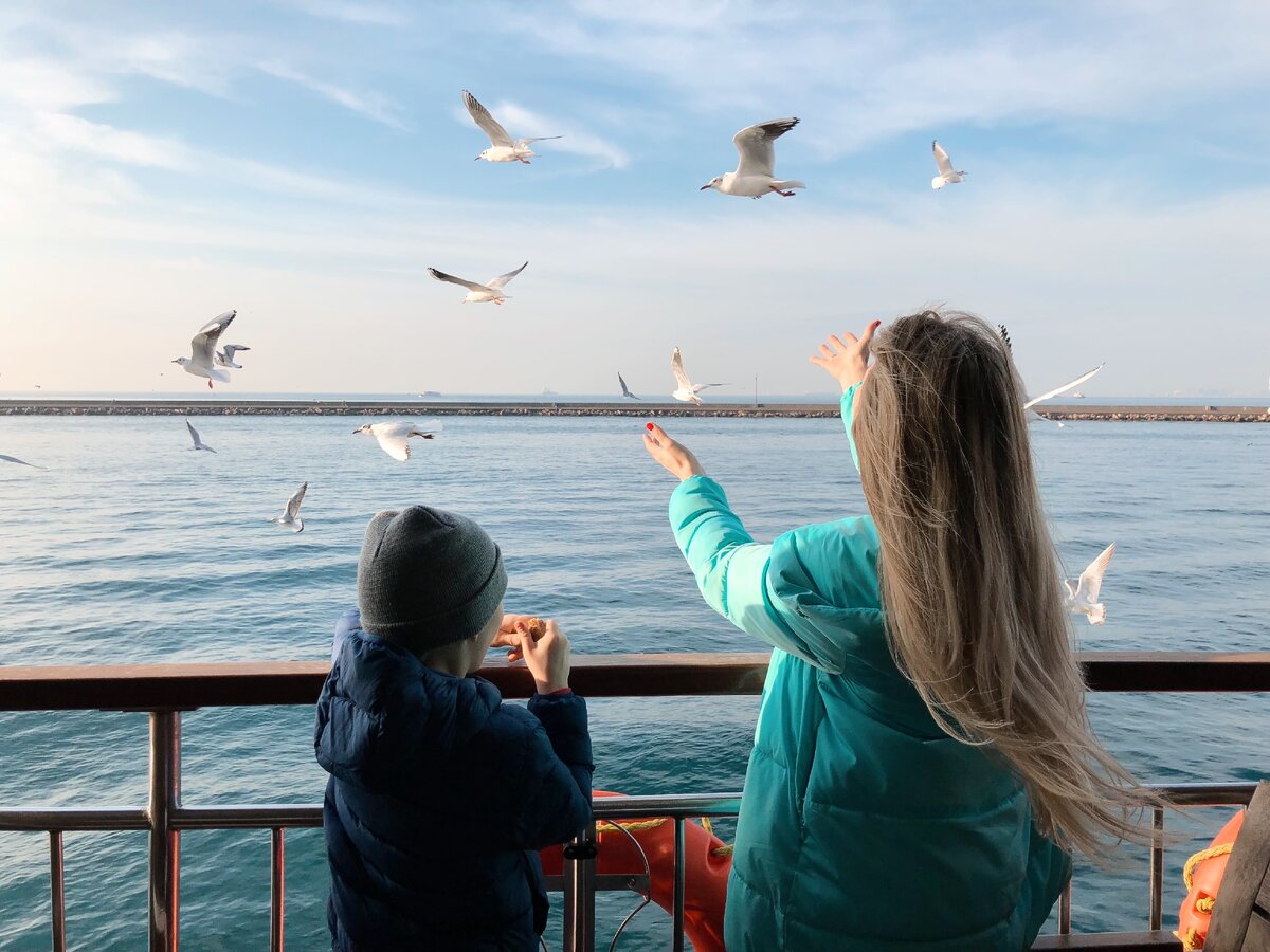 Из Европы в Азию можно доплыть на кораблике и покормить чаек по пути