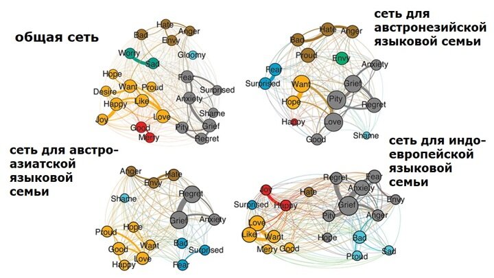 Примеры сетей, построенных учёными.Иллюстрация T. H. Henry/перевод "Вести.Наука".