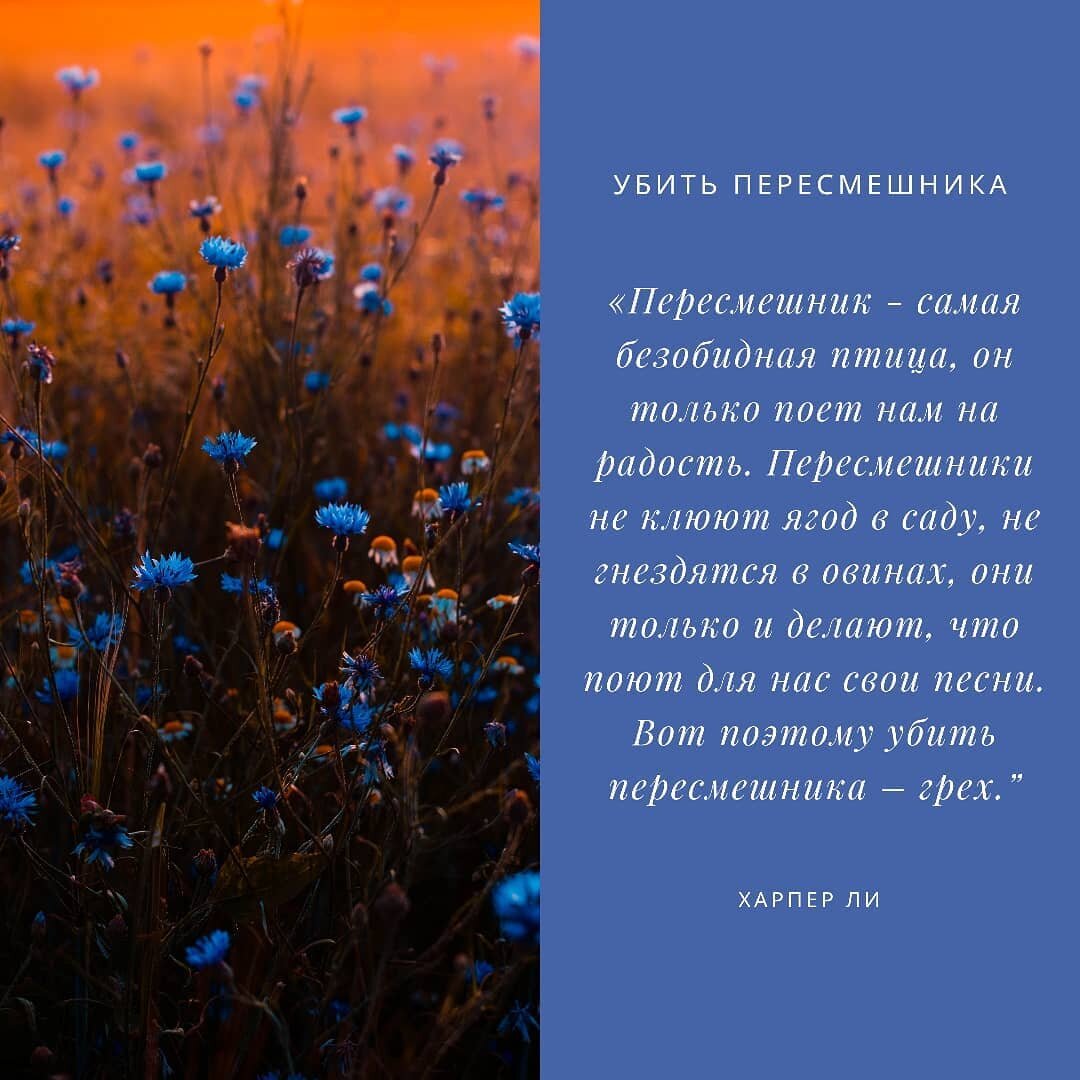 "Убить пересмешника"  Харпер Ли Фото из Инстаграма @knigoejki