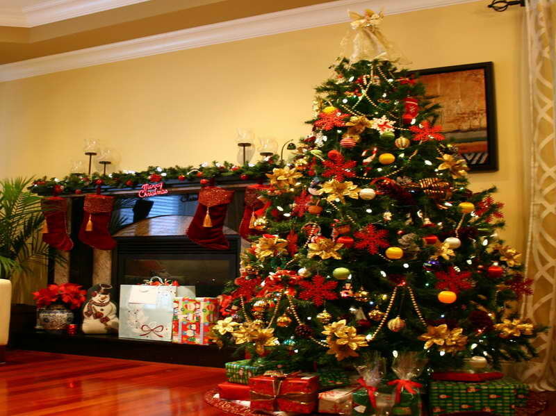 Фото: Яндекс картинки