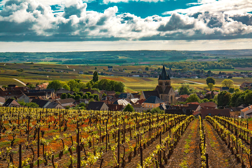 Провинция Шампань 