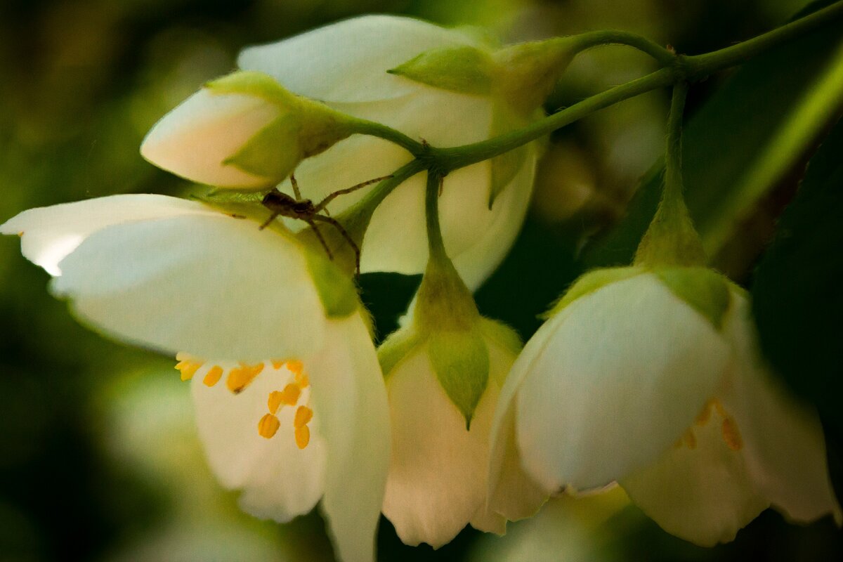 Фото автора. Листайте галерею